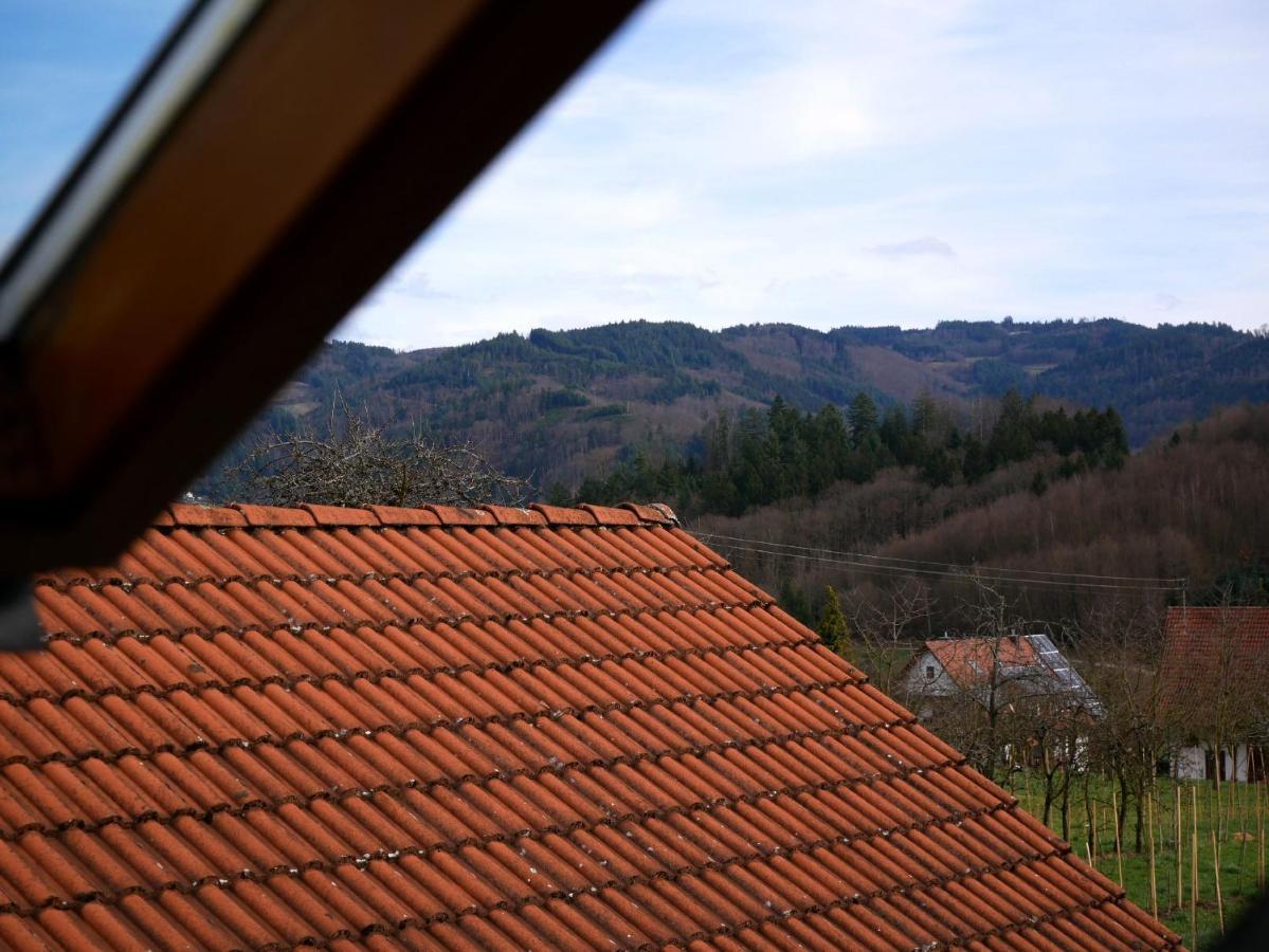 Ferienwohnung Obere Alm Oberkirch  Eksteriør bilde